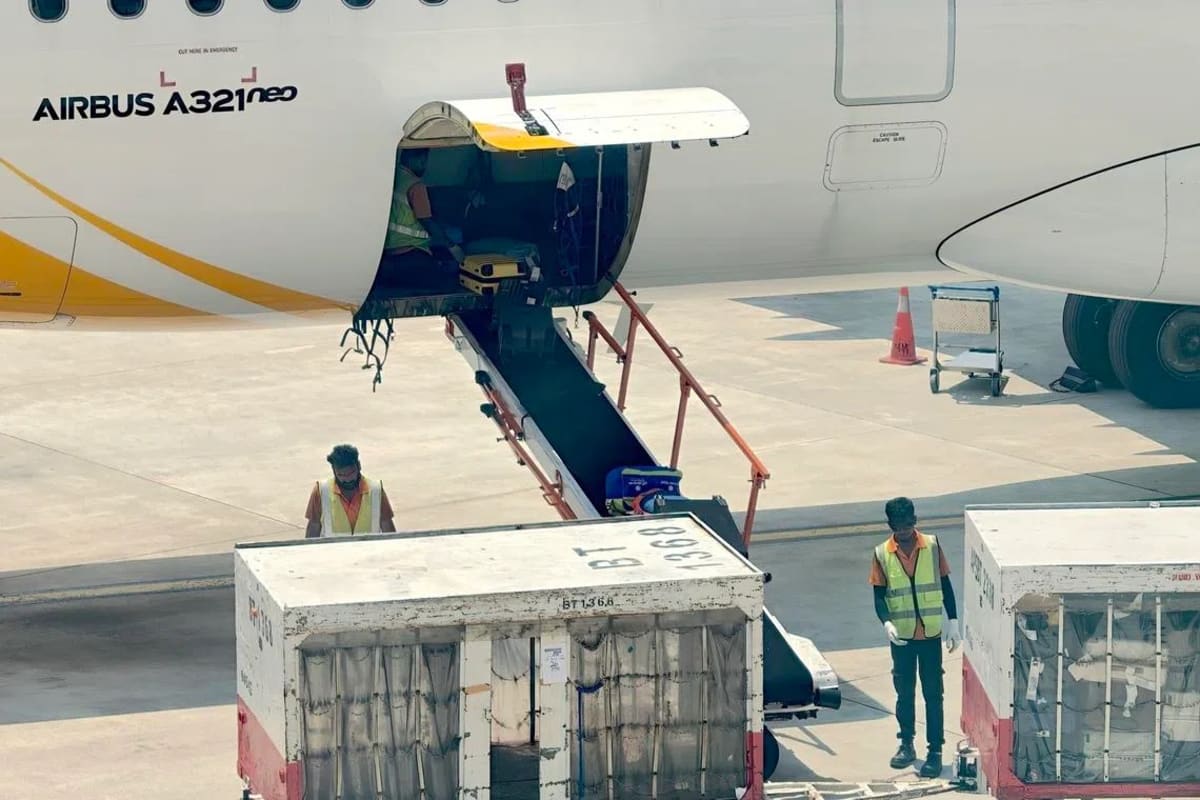 Singapore Startup's Snake Robot Helps Airport Baggage Handlers - Image 4