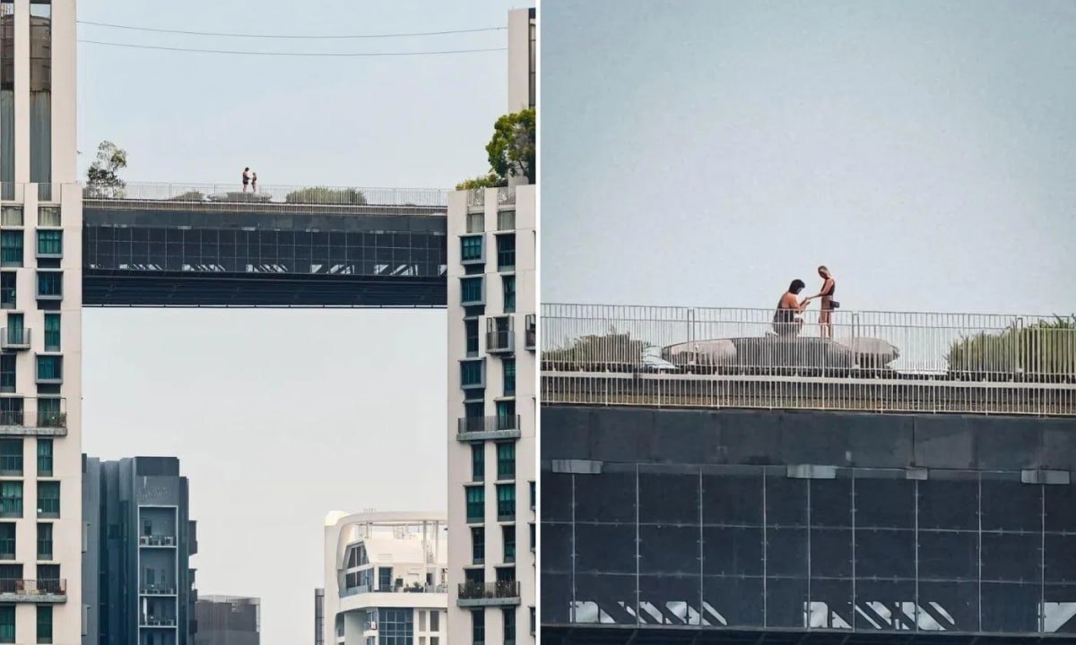 Stranger Captures Proposal, Reddit Finds the Couple