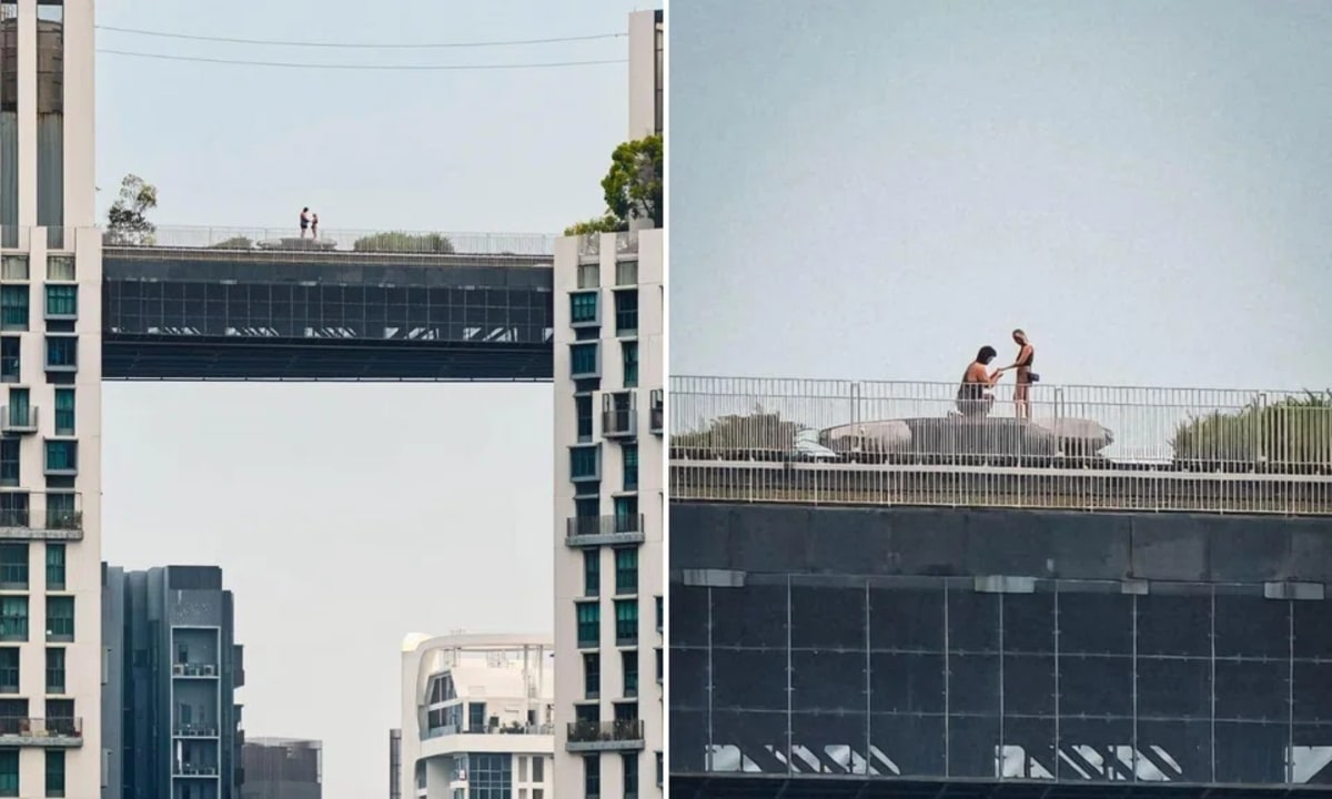Stranger Captures Proposal, Reddit Finds the Couple - Image 2