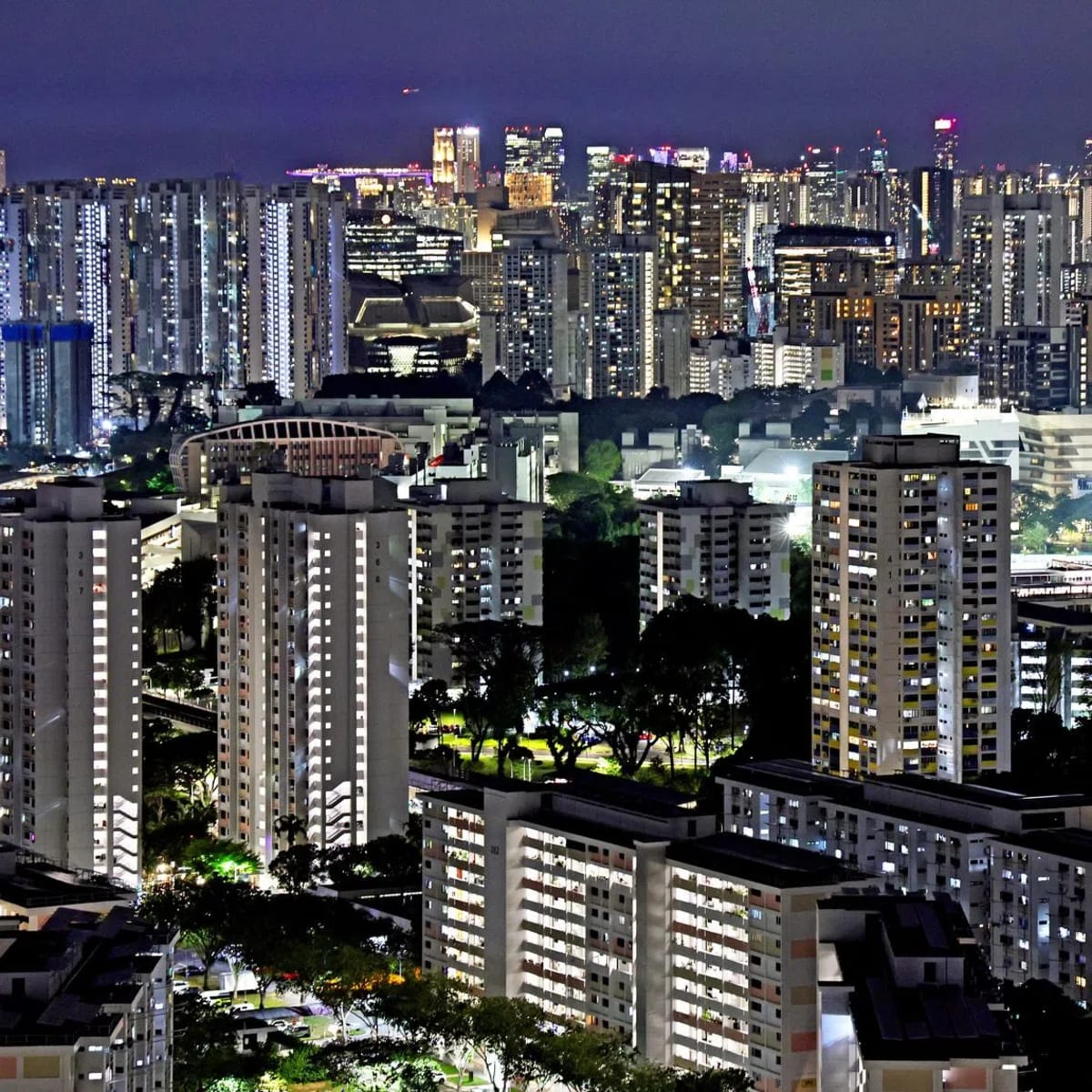 Pilot Rescues Two Men and Dog From Flood in Australia - Image 3