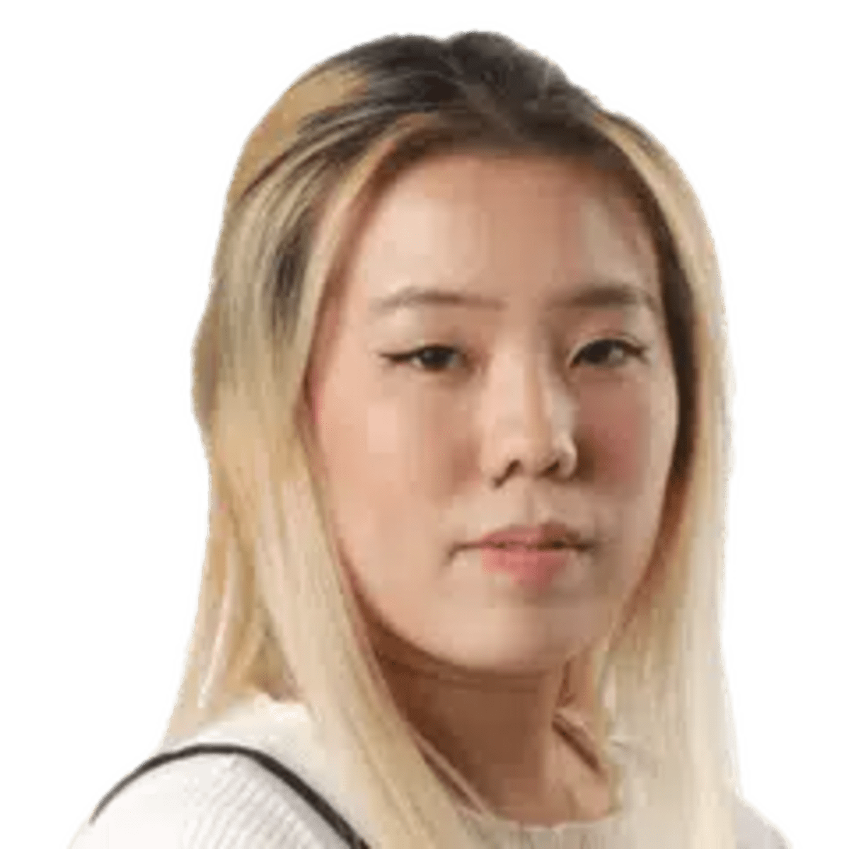 Singapore School Opens Observatory for Student Space Research - Image 4