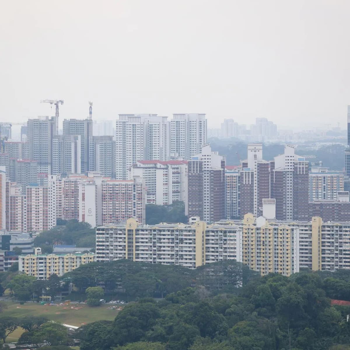 Singapore Earns WHO's Top Medical Device Safety Rating - Image 5