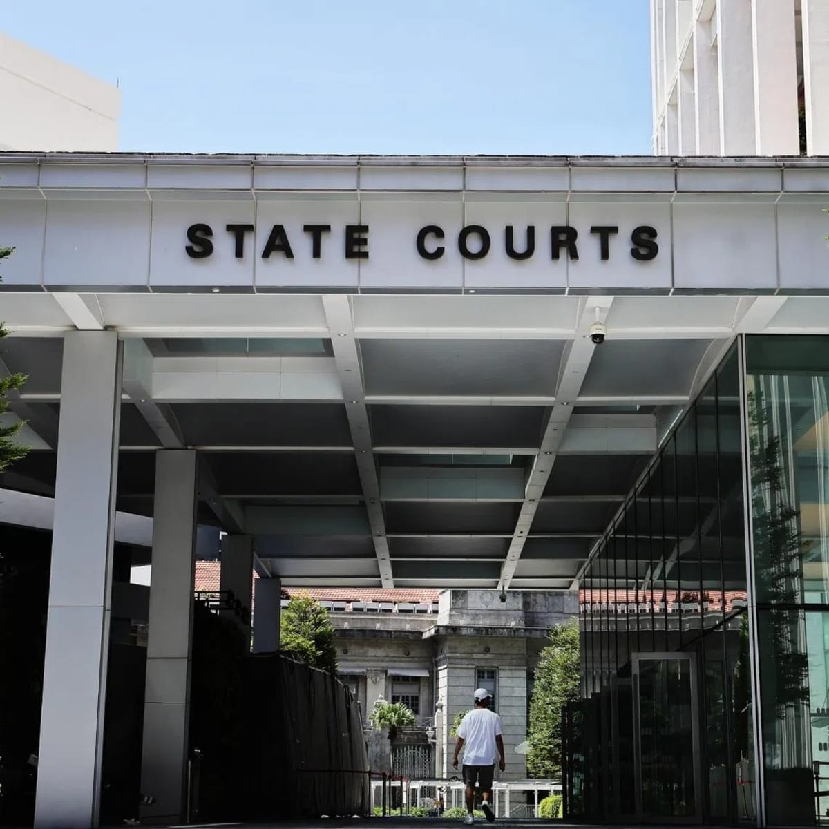 Pilot Rescues Two Men and Dog From Flood in Australia - Image 5