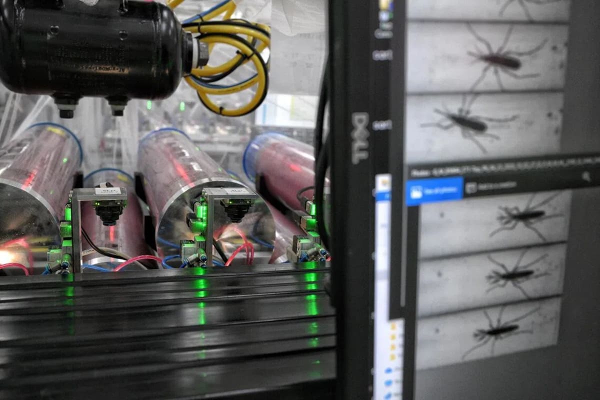 Singapore Expands Tech-Powered Mosquito Facility by 40%