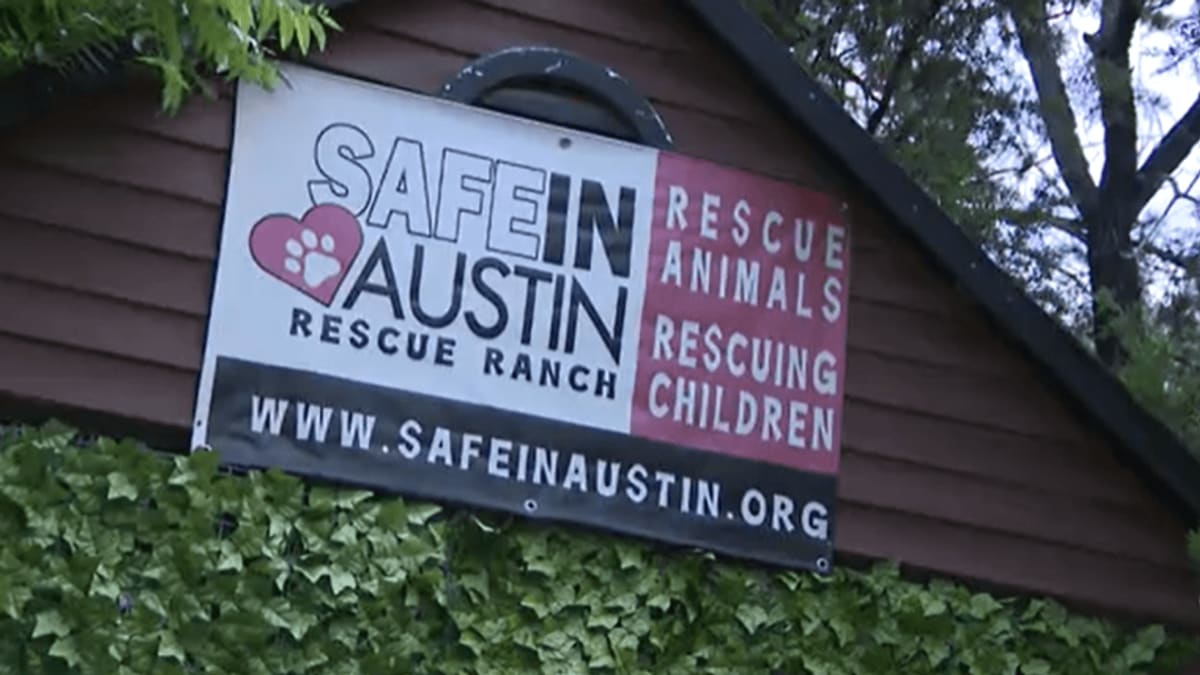 ** Volunteers cleaning up flooded animal rescue ranch with pigs and debris in Leander Texas