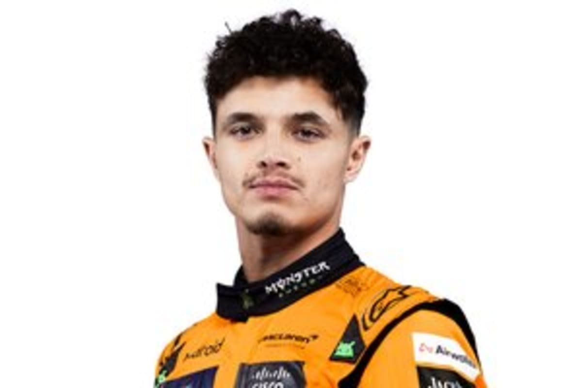 Norris Wins Hungary After Losing Championship Lead - Image 4