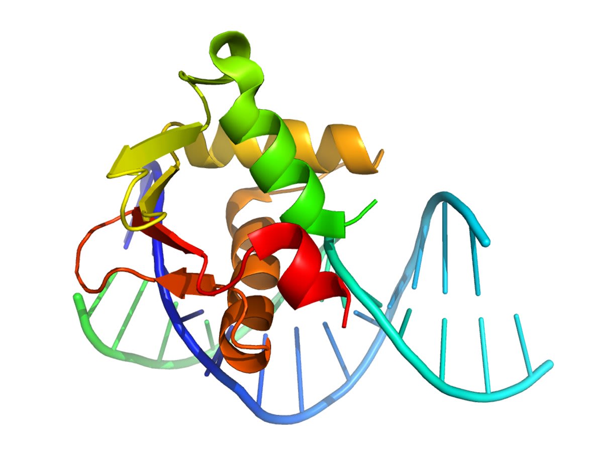 Scientists Create New Drug to Fight Rare Childhood Cancer - Image 2