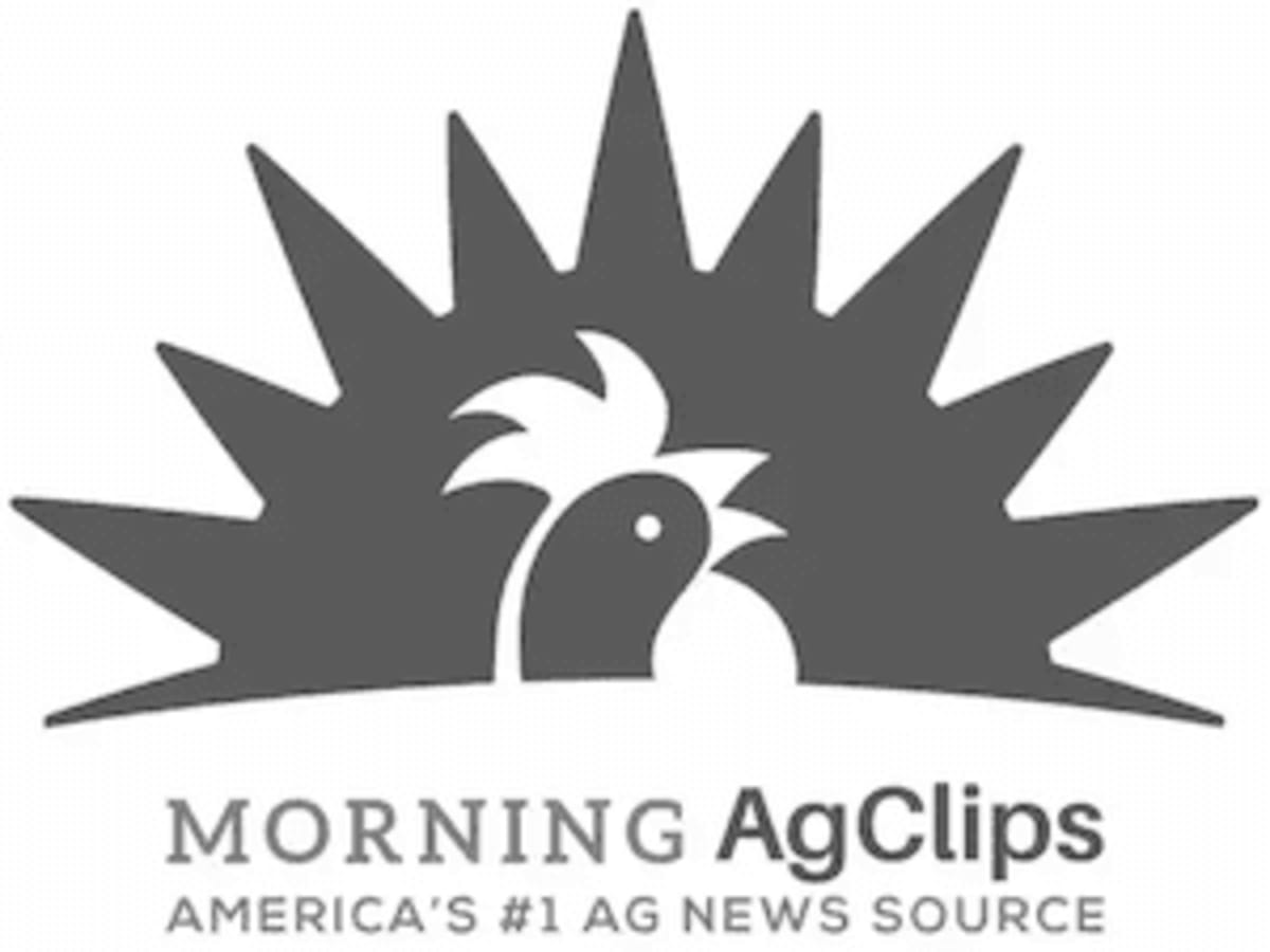 Florida FFA Leader Wins $20K Agricultural Scholarship - Image 3