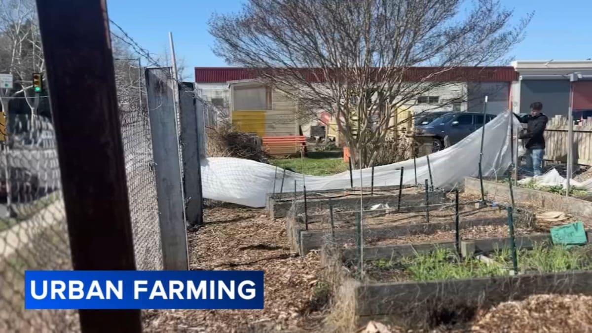Volunteers planting spring vegetables at Nice Roots Farm's urban garden in Philadelphia's Hunting Park neighborhood