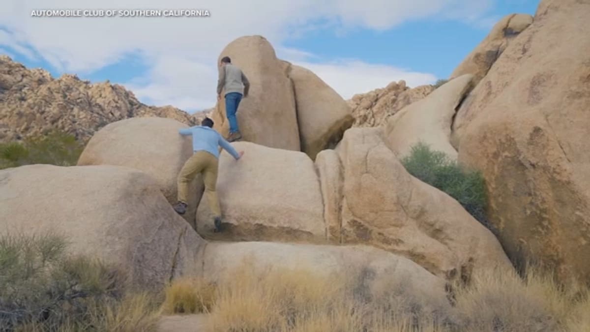 Scenic view of Joshua Tree National Park's iconic desert landscape with rock formations