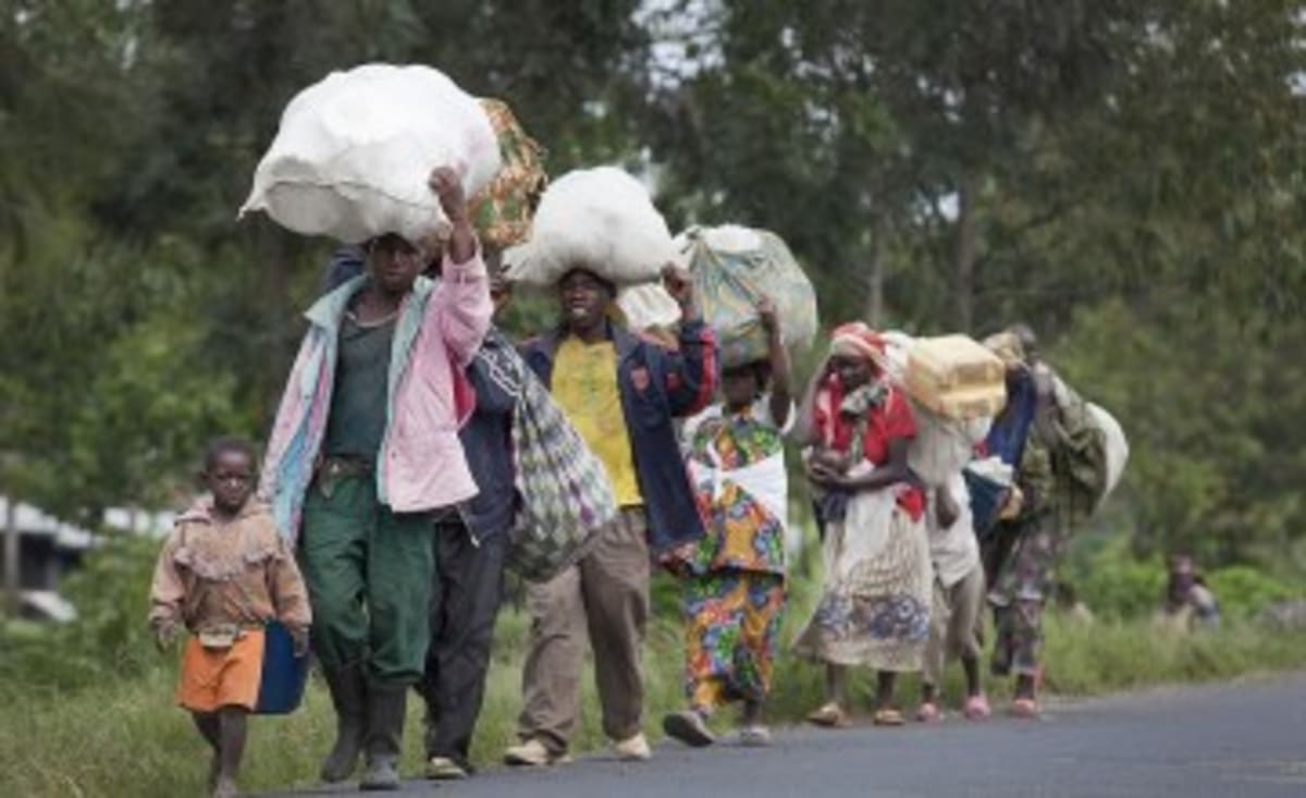 Rwanda Turns Flood Zones Into Rice Powerhouses - Image 3