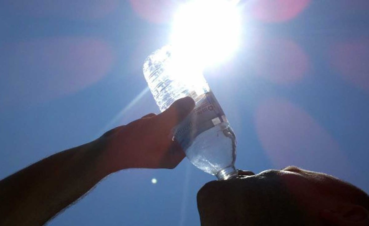 Nigerian Hospital Grows 826 Trees to Beat Extreme Heat