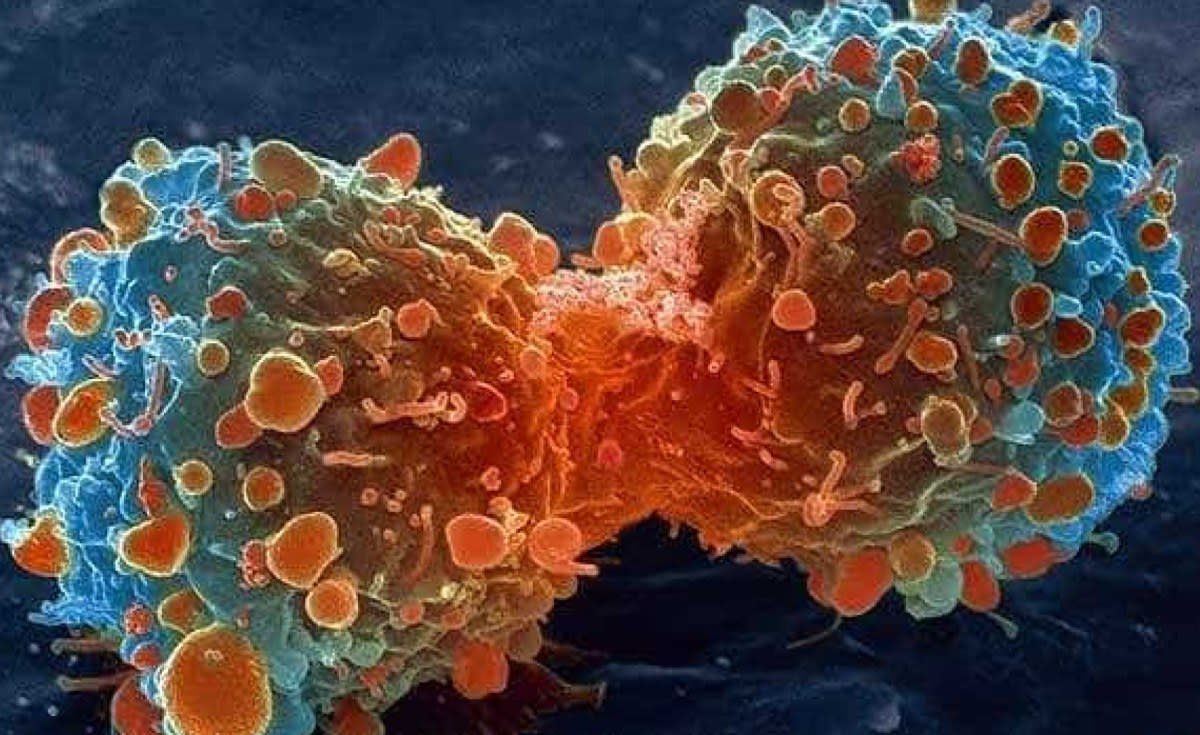 Scientists in laboratory examining molecular models of protein structures and cancer cells