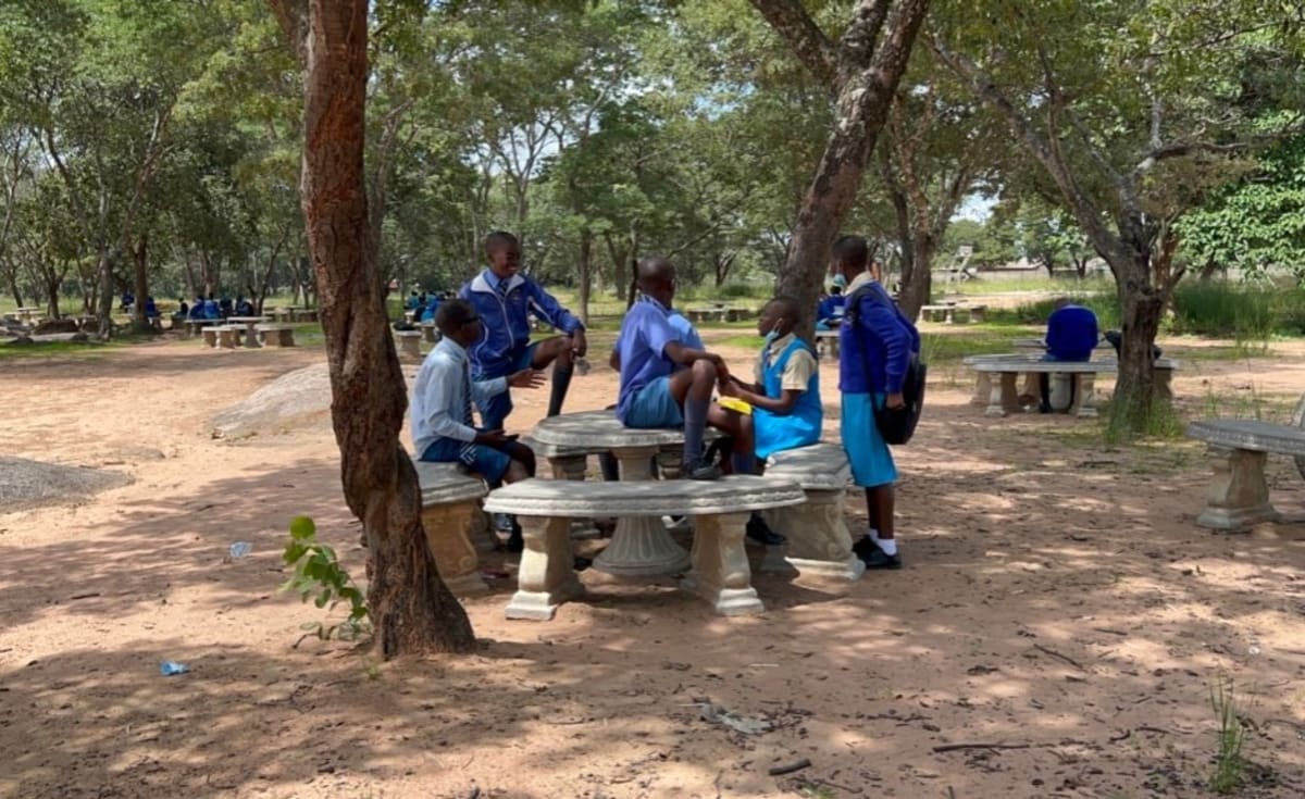 Zimbabwean students in classroom celebrating return to education through government recovery program