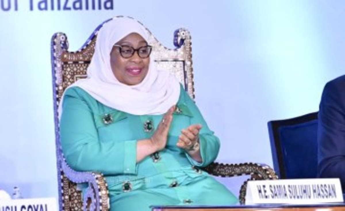 Tanzania Transforms Business Climate, Wins Parliament Praise - Image 3
