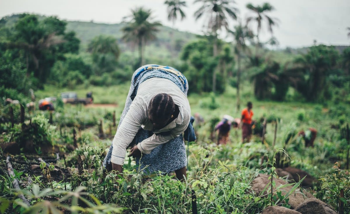 Kenya Empowers Women Farmers to Lead Climate Resilience