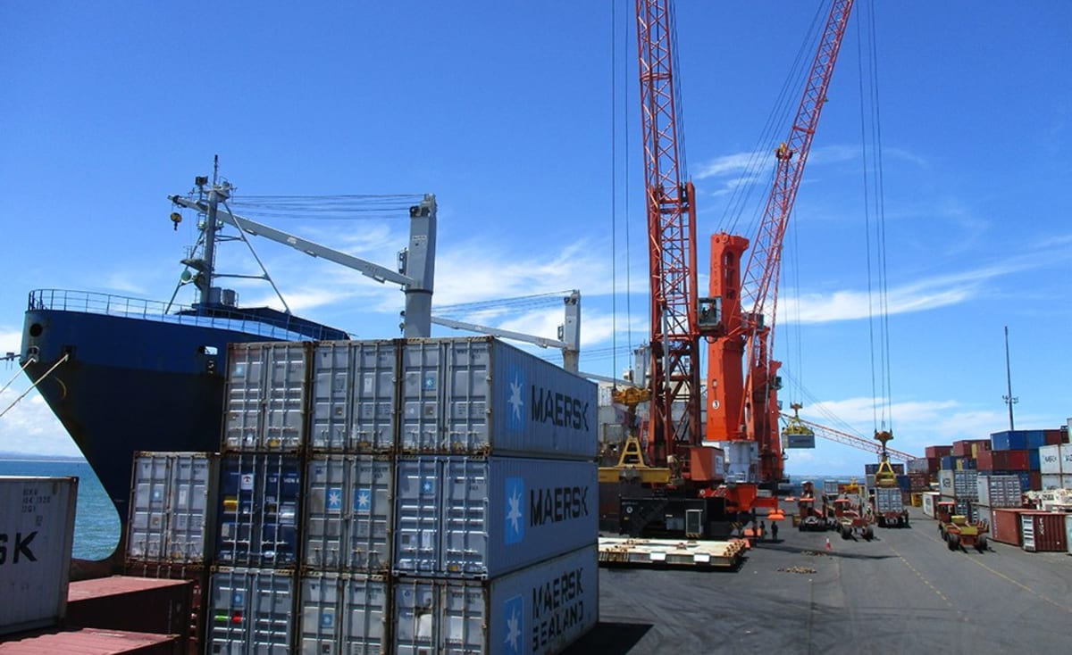 Fresh avocados and coffee being loaded for export shipment from Kenya to China
