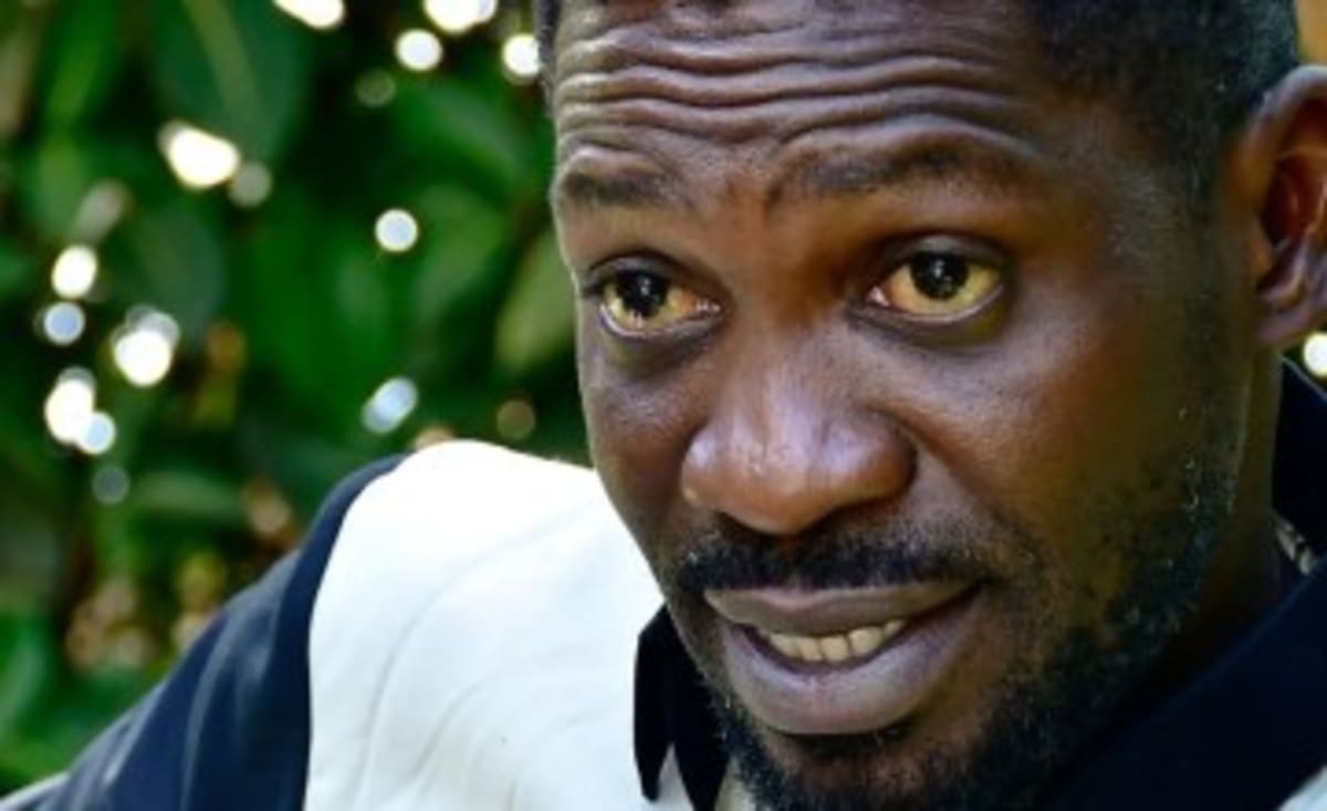 Uganda Farmers Learn Technologies to Boost Coffee, Shea - Image 4