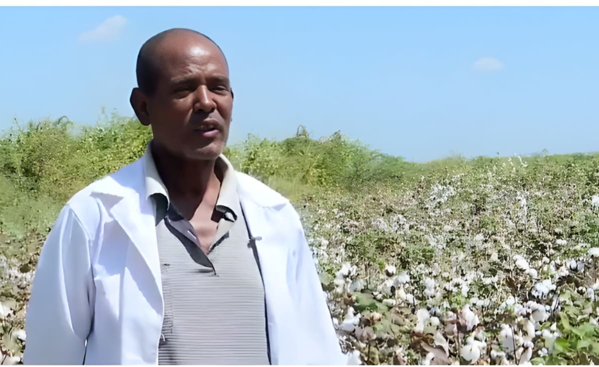 Ethiopia Builds Africa's Cotton-to-Clothing Industry