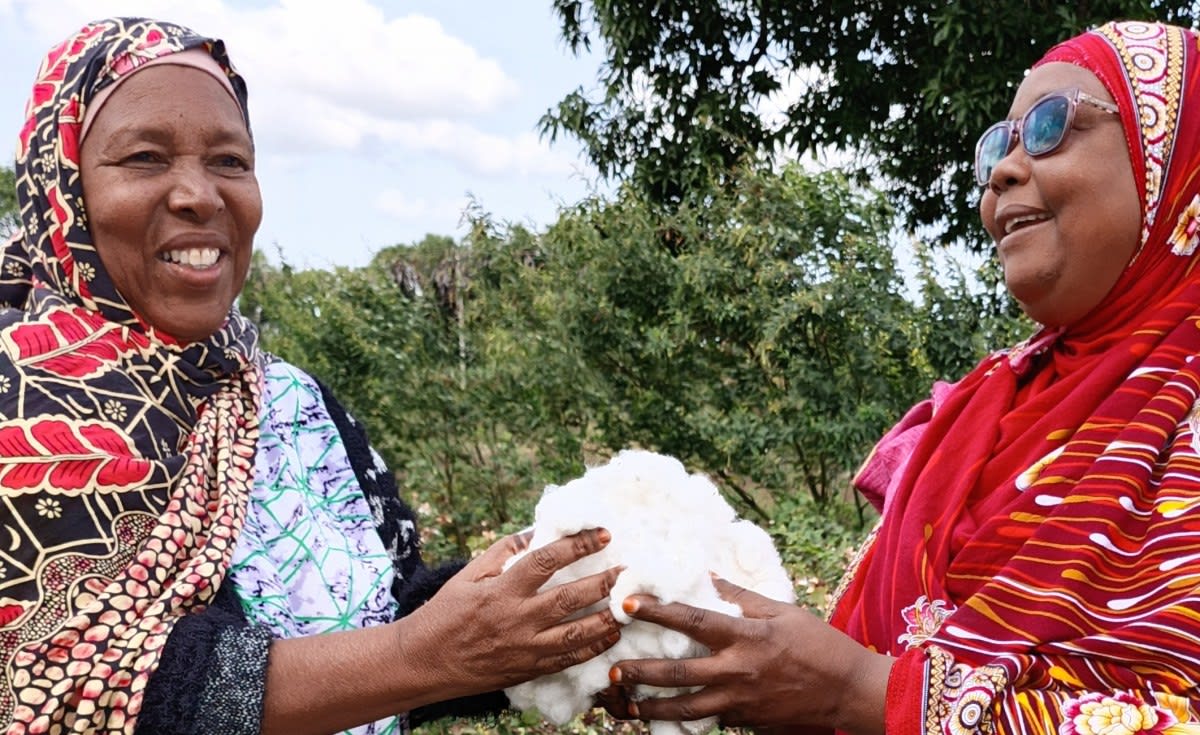 Kenya's Bt Cotton Lifts 15,000 Farmers Out of Poverty