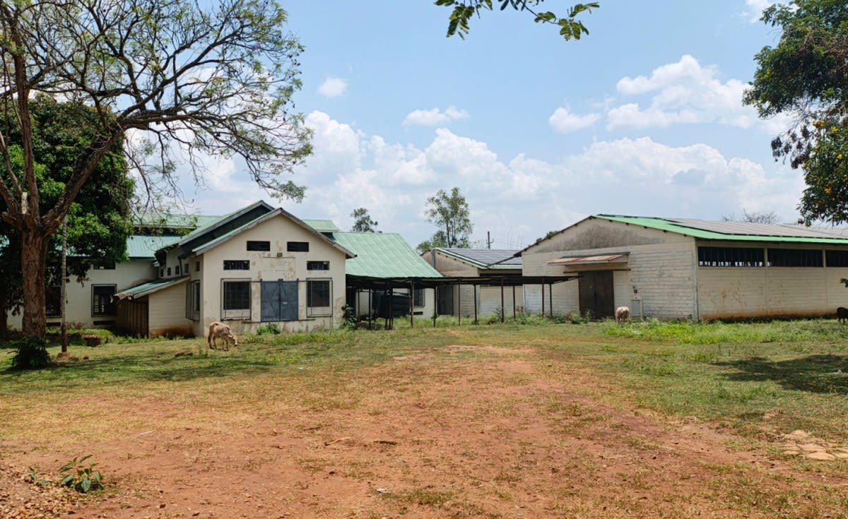 Kenya's Cotton Comeback Brings Hope to Thousands of Farmers