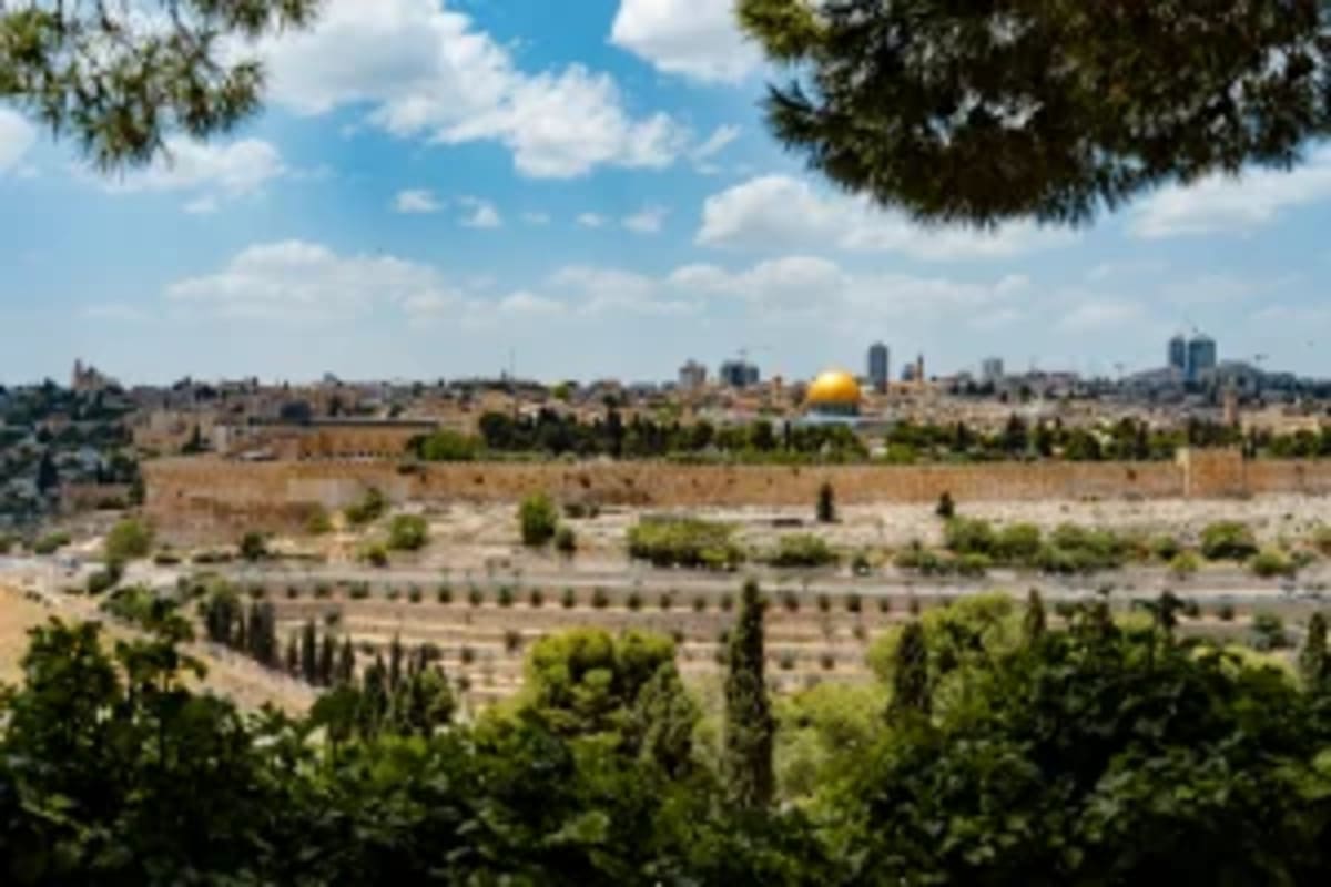 Israeli Vineyard Harvests Grapes and Solar Power Together - Image 5