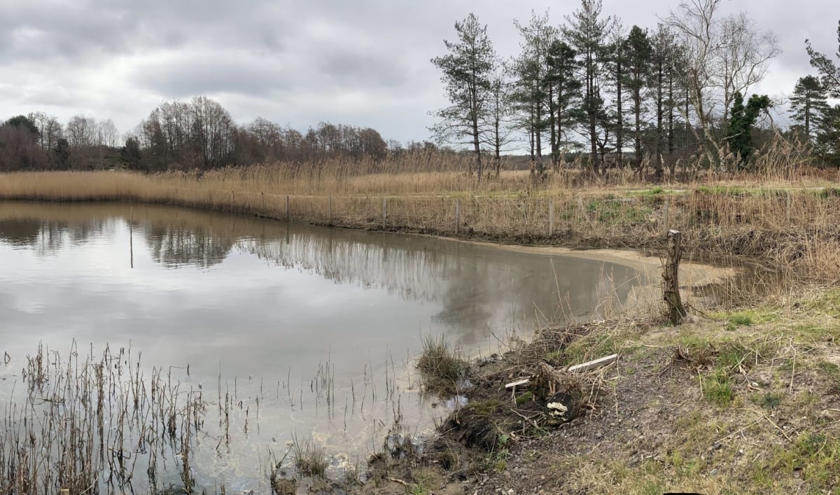 Aerial view of Poole Harbour wetlands with boats and protected wildlife habitat areas