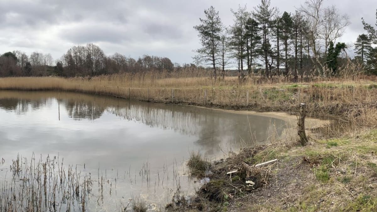 Oil Firm Pays £6.1M to Restore Poole Harbour After Spill - Image 2