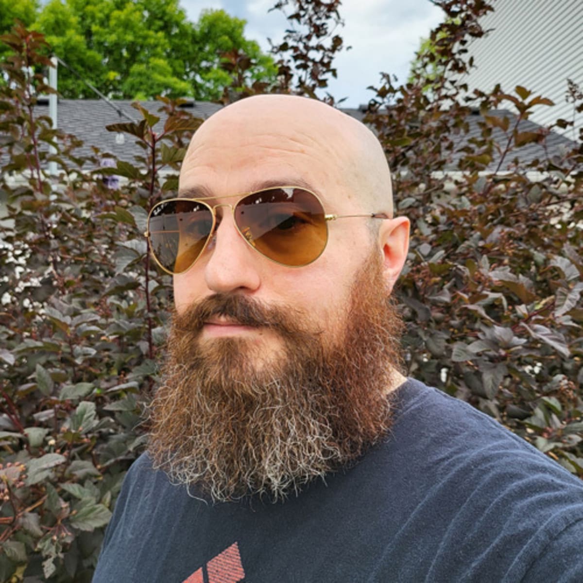 Google Photos Restores Classic Search After User Backlash - Image 3