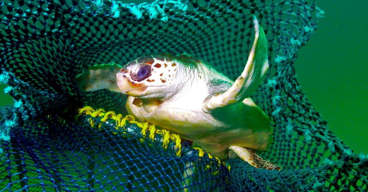Green LED lights attached to fishing net underwater protecting sea turtles from bycatch