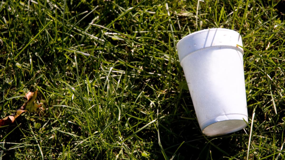 Scientists Turn Styrofoam Waste Into Carbon-Capture Tool