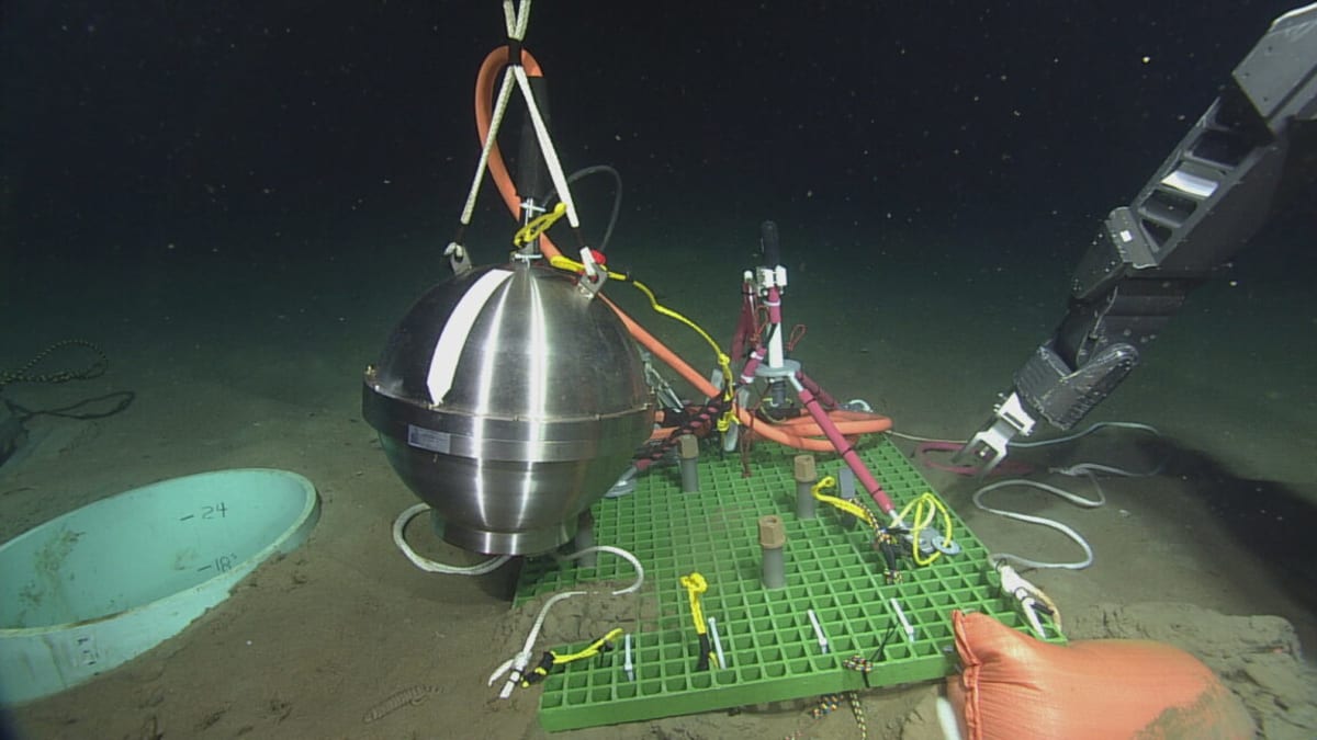 Ocean Monitoring Network Saved After Senate Pushback