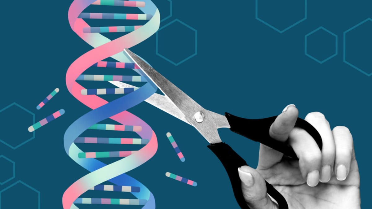 Digital illustration of AI analyzing colorful DNA strands and protein structures for gene editing safety