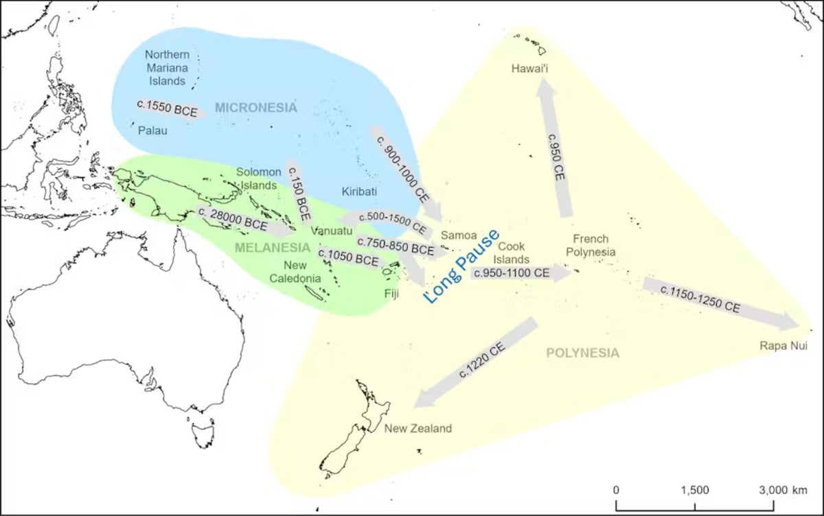 Scientists Solve 1,700-Year Mystery of Polynesian Voyages - Image 2