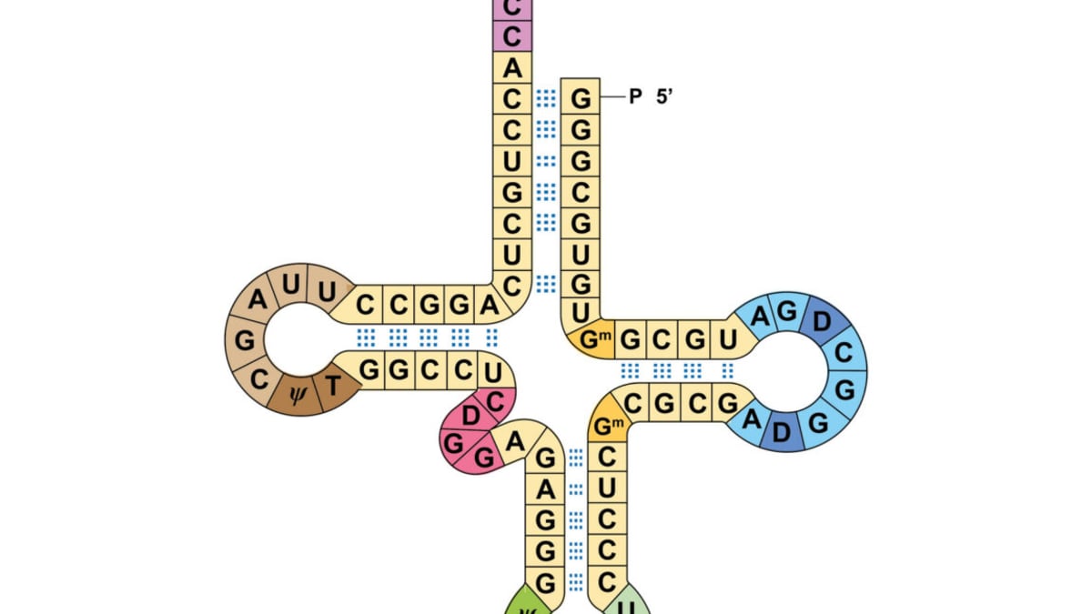 Scientists in laboratory examining genetic sequencing equipment for synthetic biology research breakthrough