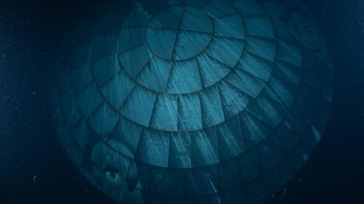 NASA's Orion spacecraft heat shield being examined by engineers after successful Moon mission splashdown