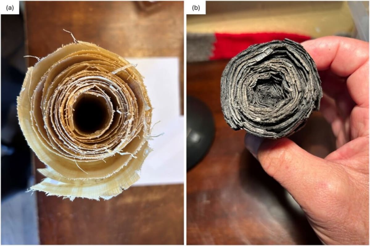 Scientists Unlock 2,000-Year-Old Scrolls Buried by Vesuvius - Image 3