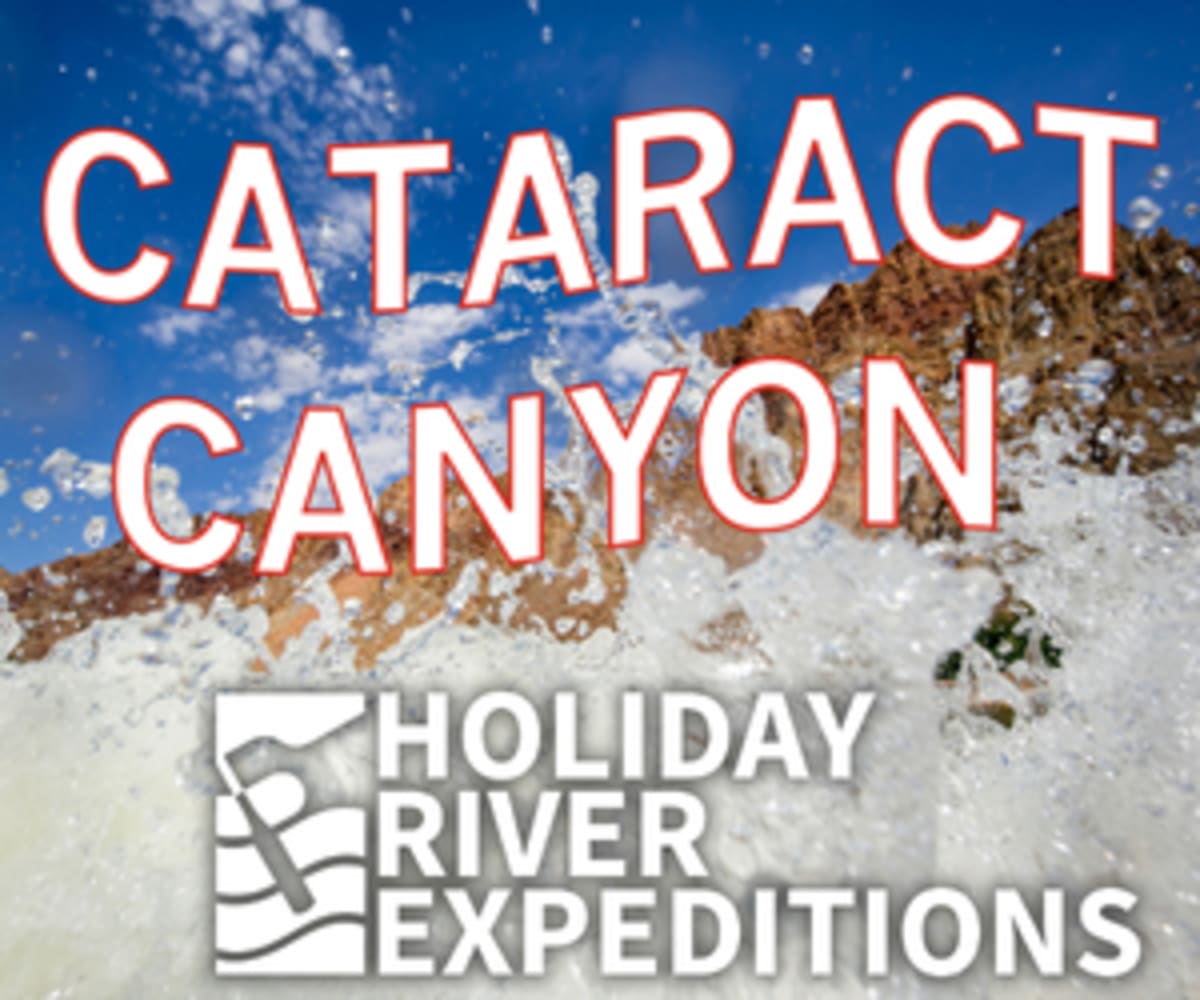 New Mexico Building 5M Seedling Facility After Wildfires - Image 3