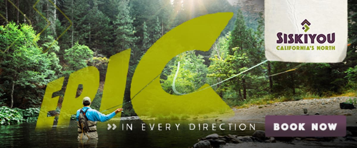 California Invests $80M in Salmon Recovery and Wildlife - Image 4