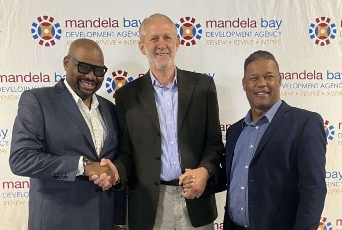 Founding CEO Returns to Restore South African City Agency - Image 3
