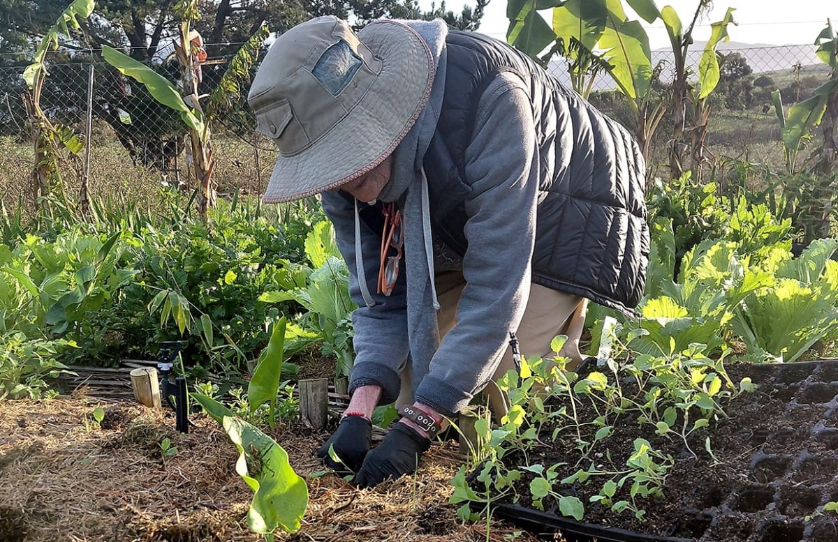 South African Farm Swaps Rent for Work in New Travel Trend - Image 3