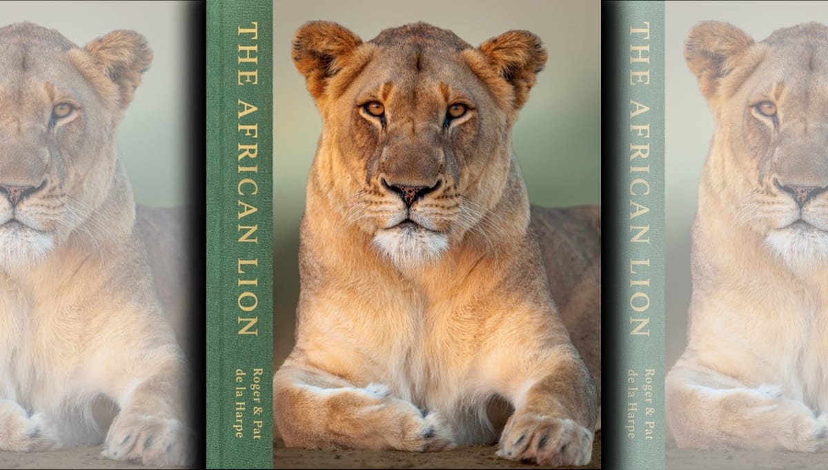 South African Photographers' Lion Book Supports Conservation - Image 2