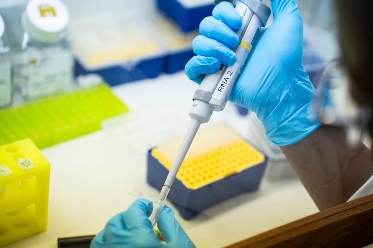 US Lifts Research Ban on South Africa After 18 Months - Image 2
