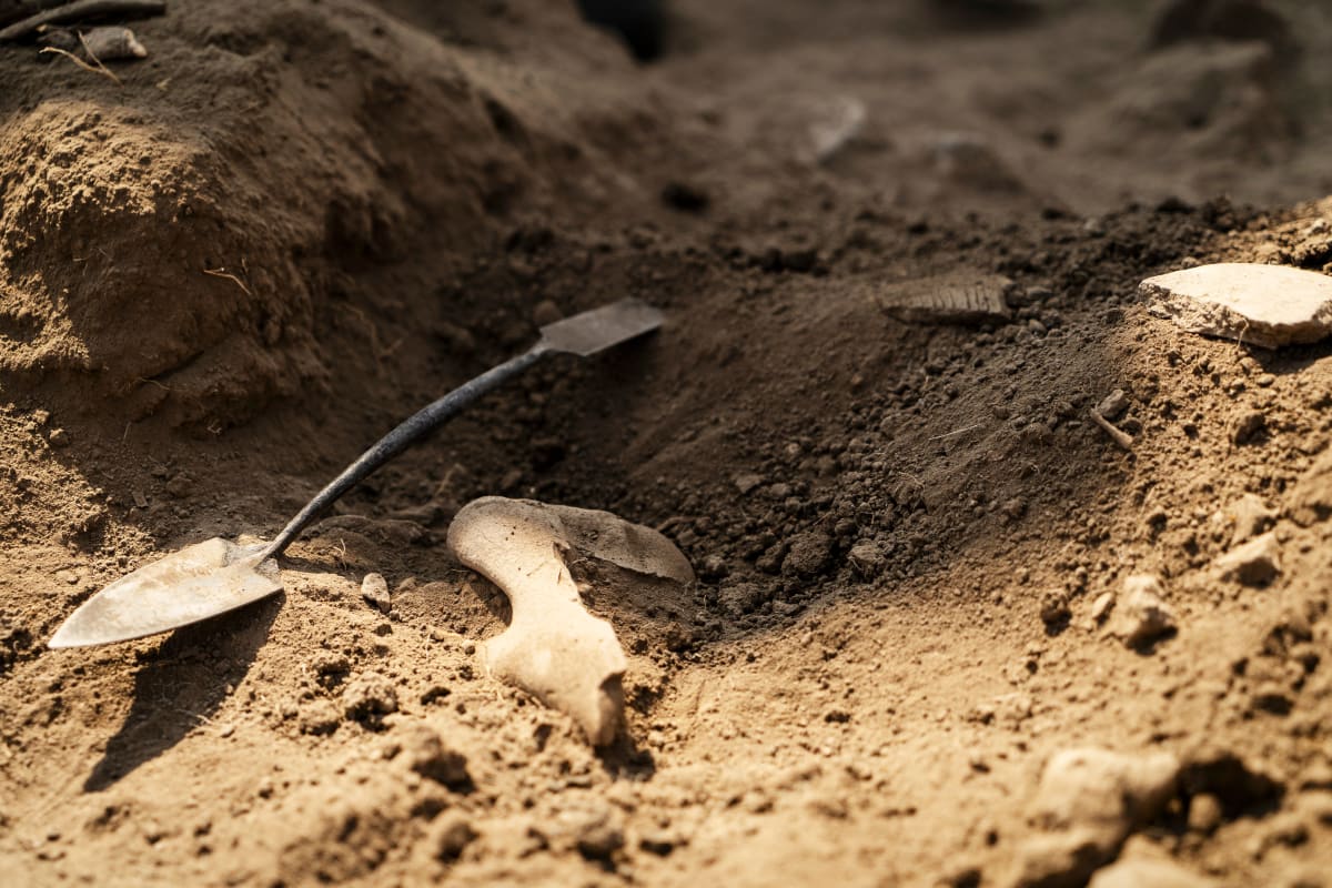 Ancient Trade Hub Uncovered in Kruger National Park - Image 2