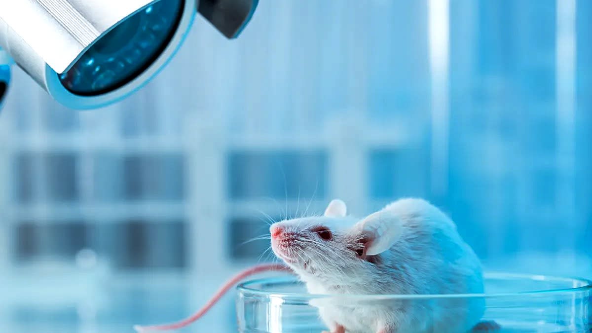 AI Ends Animal Testing with 92% Accuracy in Drug Safety - Image 2