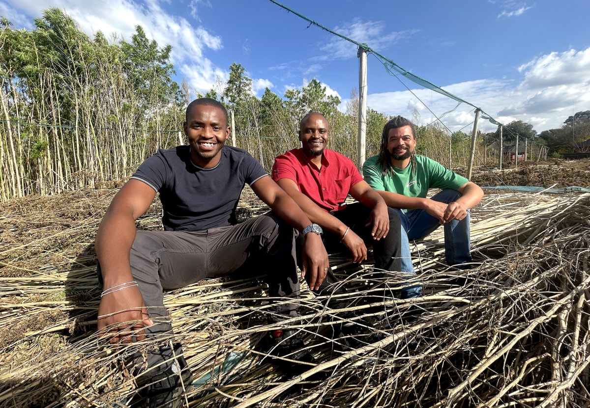 Young South Africans Build Hemp Textile Industry From Scratch - Image 3