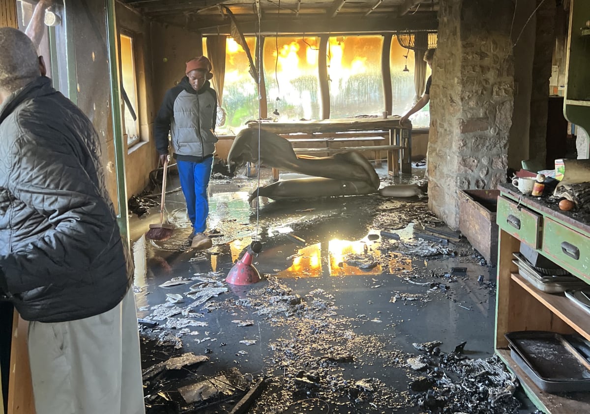 Cape Town Farm Rebuilds After Fire, Community Steps In - Image 3