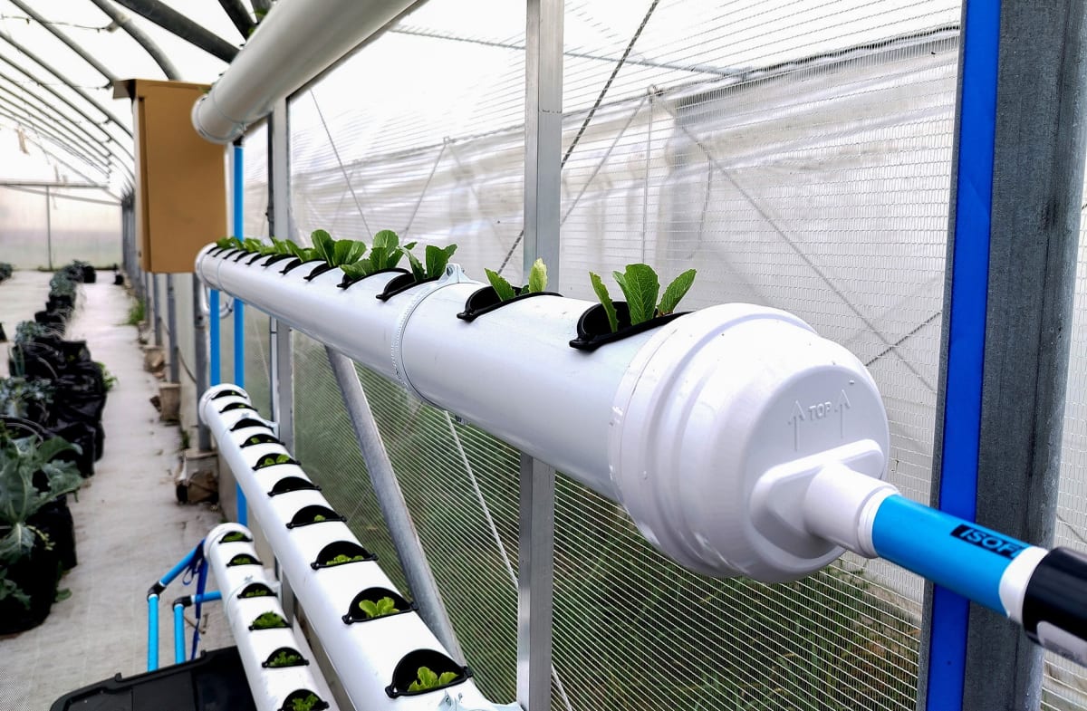 Solar Gardens Teach 100 Women Sustainable Farming in SA - Image 2
