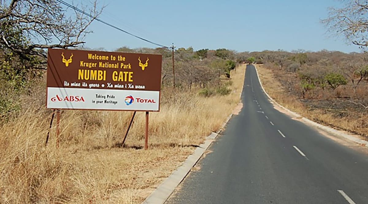 Kruger Park Poaching Sting Ends in Historic Conviction - Image 2