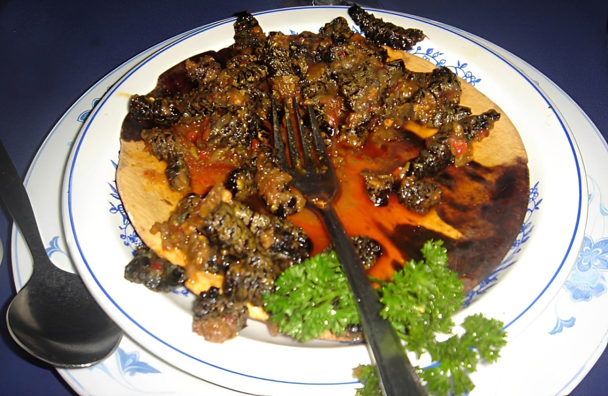 Mopane Worms and Wild Frankincense Create New Economies - Image 2